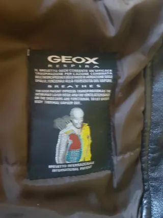 Cazadora Piel Geox marron. Cuello desmontable .