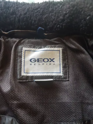 Cazadora Piel Geox marron. Cuello desmontable .
