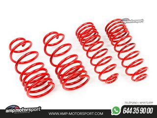 MUELLES DEPORTIVOS MTS TECHNIK MTSXSZ020