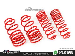 MUELLES DEPORTIVOS MTS TECHNIK MTSXVW265