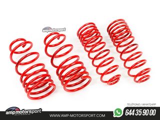 MUELLES DEPORTIVOS MTS TECHNIK MTSXSK026