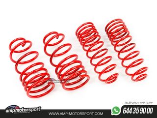 MUELLES DEPORTIVOS MTS TECHNIK MTSXVW286