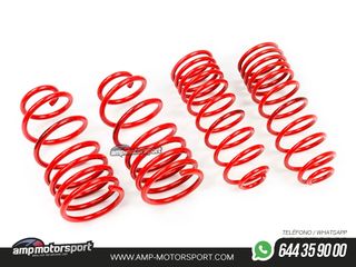 MUELLES DEPORTIVOS MTS TECHNIK MTSXSK121