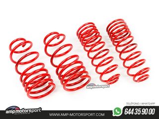 MUELLES DEPORTIVOS MTS TECHNIK MTSXSK111