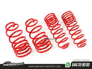 MUELLES DEPORTIVOS MTS TECHNIK MTSXVO031