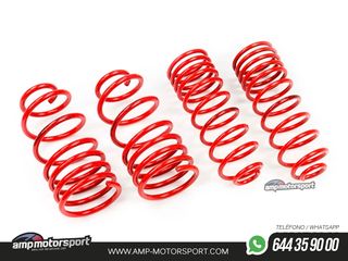 MUELLES DEPORTIVOS MTS TECHNIK MTSXSK049