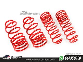 MUELLES DEPORTIVOS MTS TECHNIK MTSXSK090