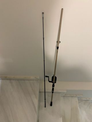 Caña de pescar con carrete spinning