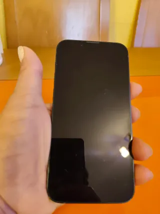 iPhone 13 mini Nero Solo persone interessate.