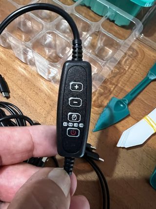 Serra semenzaio semi germinazione piante grasse