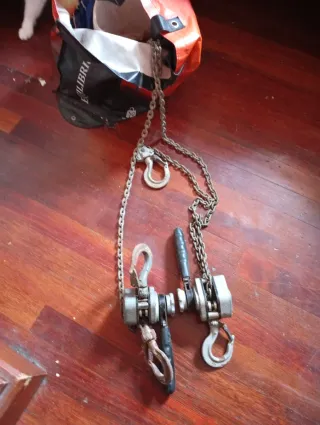 Polipasto eléctrico 300kg + 2 trater