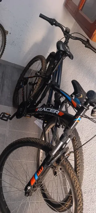 Bicicleta