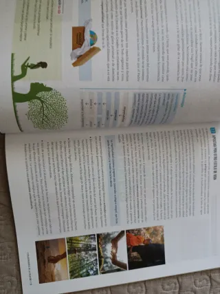 Proyecto: FanFest - Religión Católica 2 ESO