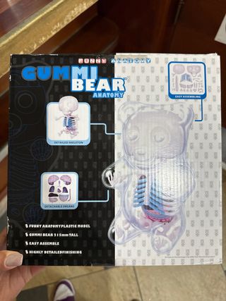 Funny Anatomy Gioco Bambini