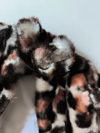 Abrigo visón Nancy años 70