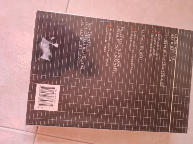 Gramatica Didactica Del Espanol