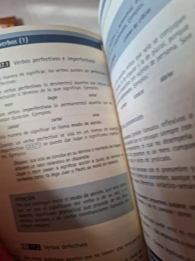 Gramatica Didactica Del Espanol