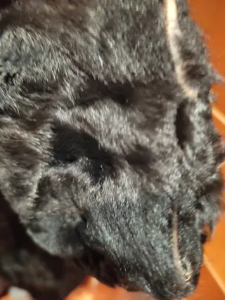 Abrigo largo piel astracán negro