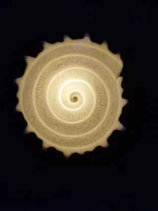 Lampada a forma di conchiglia in vetro