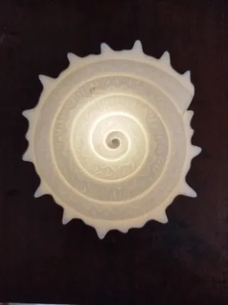 Lampada a forma di conchiglia in vetro