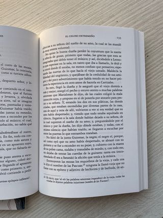 Novelas Ejemplares (Spanish Edition)