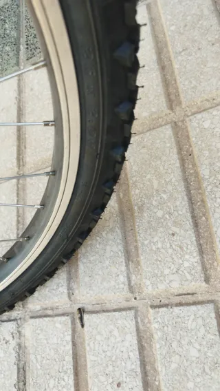 Bicicleta infantil 26 pulgadas