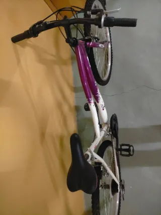 Bicicleta Montaña Morada y Blanca