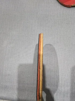 Madera Butterfly Primorac OFF con Tenergy 19