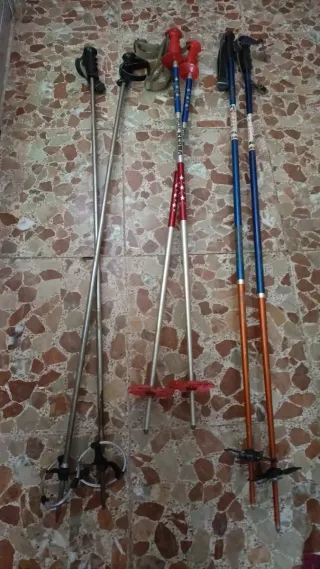 Esquís Rosas DYNAMIC Vital