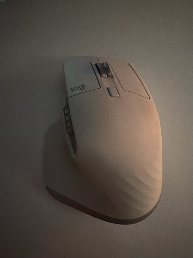 Mouse Logitech MX Master 3S per Mac