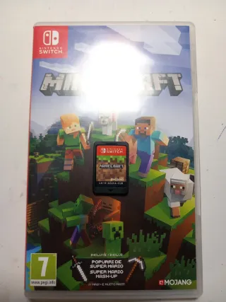 Minecraft Nintendo Switch