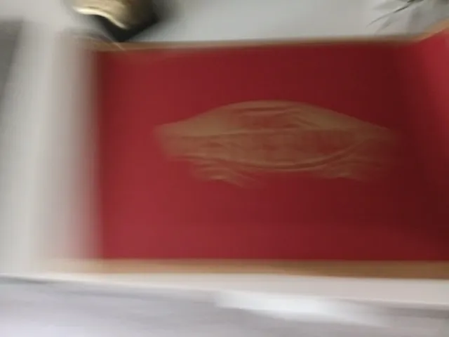 Zapatillas Vans Niña Talla 36 Nuevas