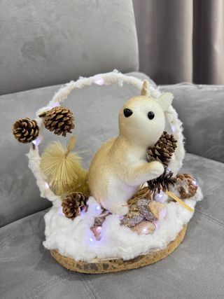 Decorazioni Natalizie con Luci