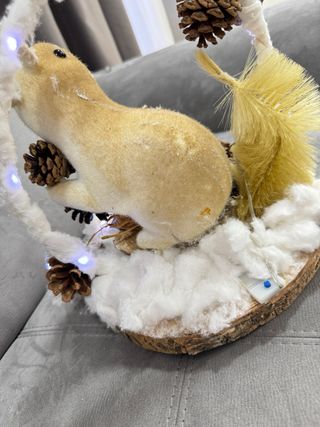 Decorazioni Natalizie con Luci