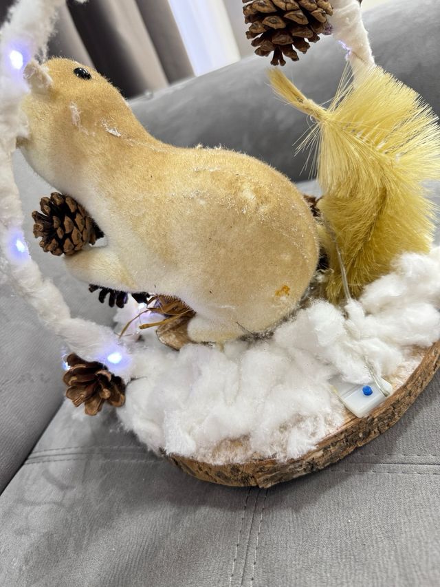 Decorazioni Natalizie con Luci