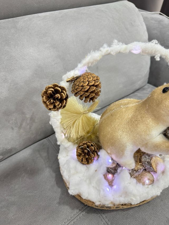 Decorazioni Natalizie con Luci