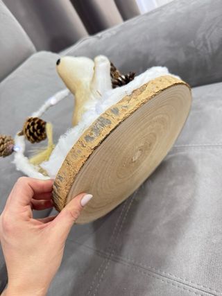 Decorazioni Natalizie con Luci