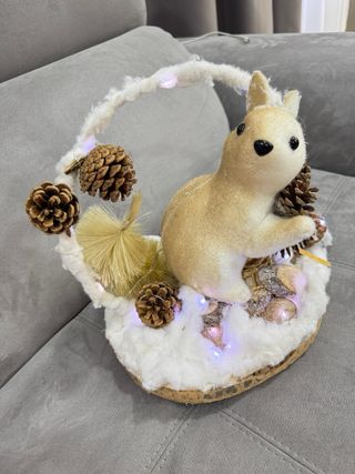 Decorazioni Natalizie con Luci