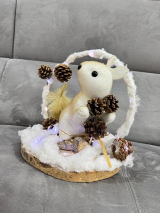 Decorazioni Natalizie con Luci