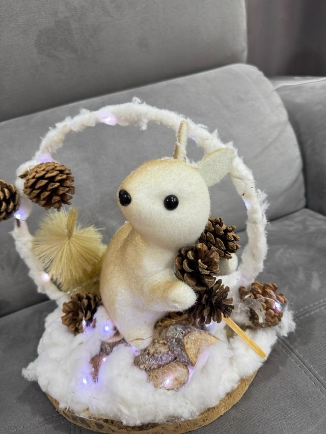 Decorazioni Natalizie con Luci