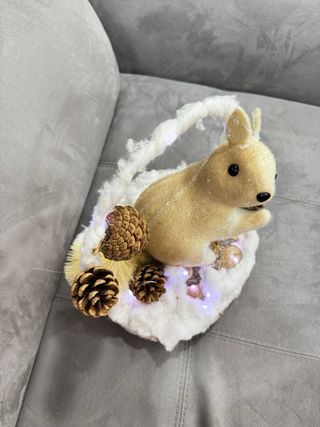 Decorazioni Natalizie con Luci