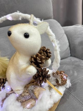 Decorazioni Natalizie con Luci