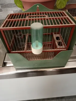 Jaula Jilgueros C2