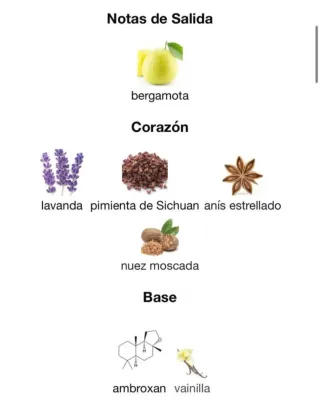 Perfume Salvo Intense Eau de Parfum 100ml