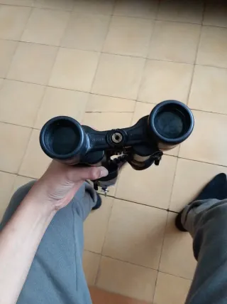 Prismáticos Nikon Adion 8X40 8.2°