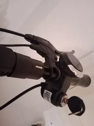 Patinete Eléctrico WUXING WILD