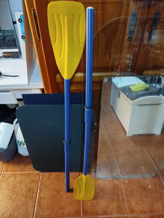 Remos amarillos y azules