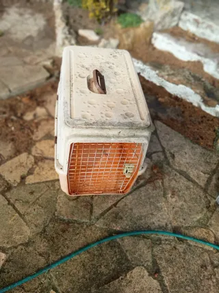 Transportín grande para perros