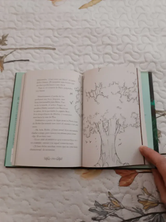 Fairy Oak El Secreto De Las Gemelas