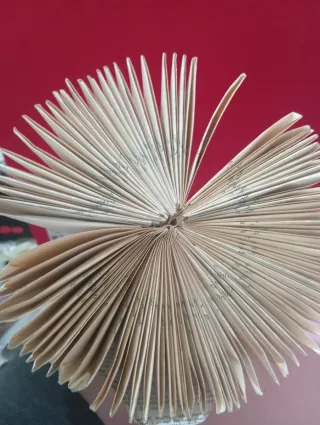 Babbo Natale decorazione libro